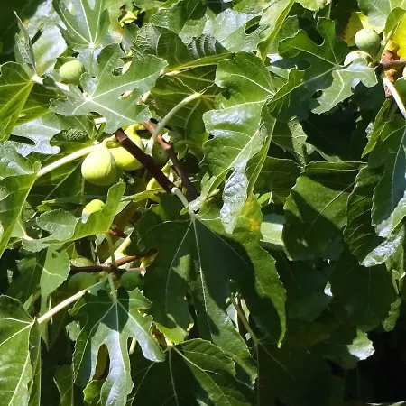 Lily Apartamento Zadar