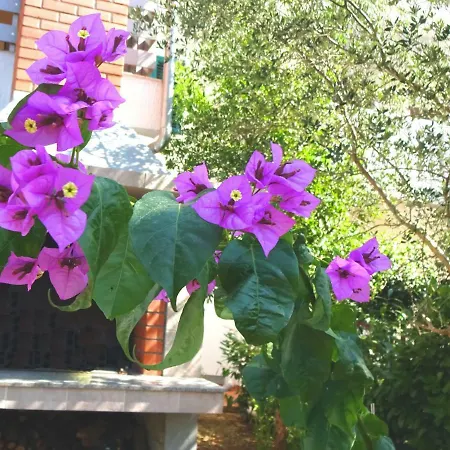 Апартаменты Lily *