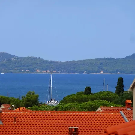 Lily * Zadar